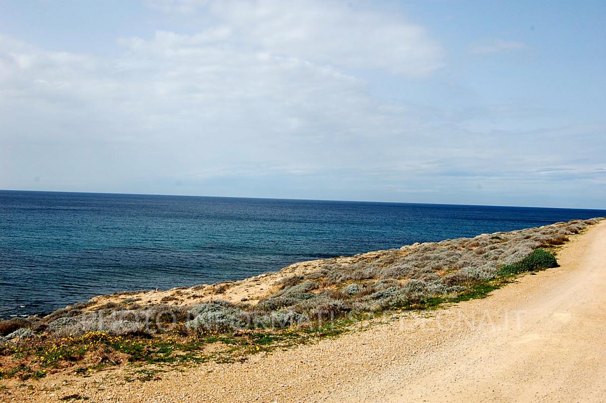 Il paesaggio. Sassari