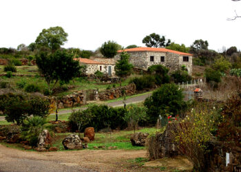 L'area verde attorno al Novenario di Santa Maria di Trempu