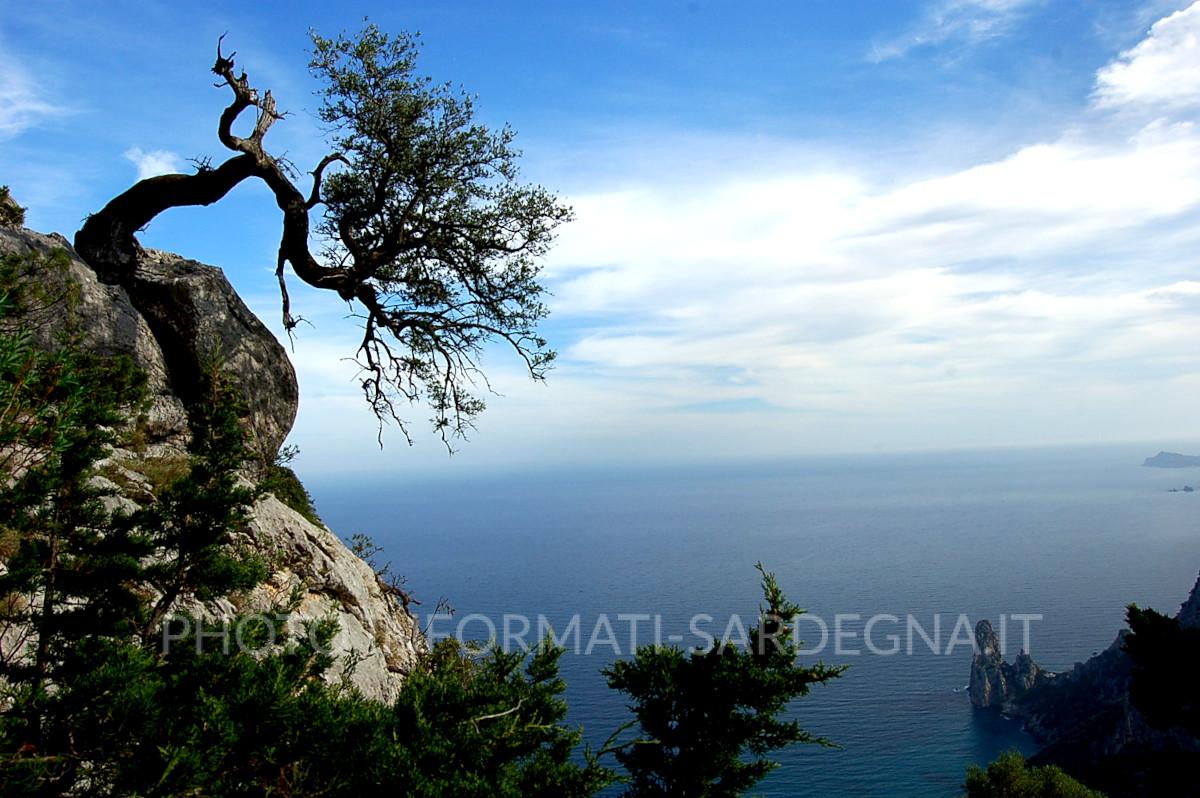 Golfo di Orosei, costa di Baunei