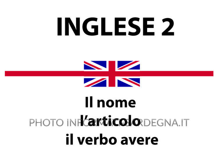Nome singolare e plurale, articoli e verbo avere in inglese