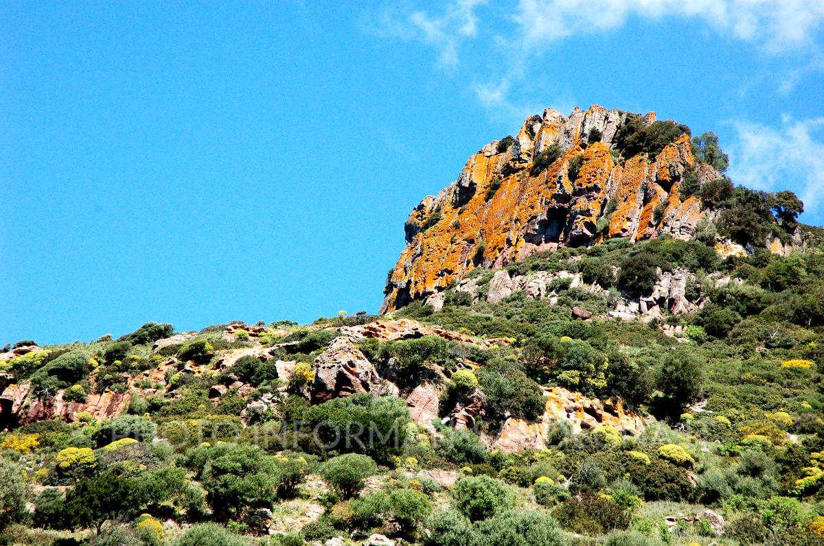 Il paesaggio nei pressi di Torre Argentina