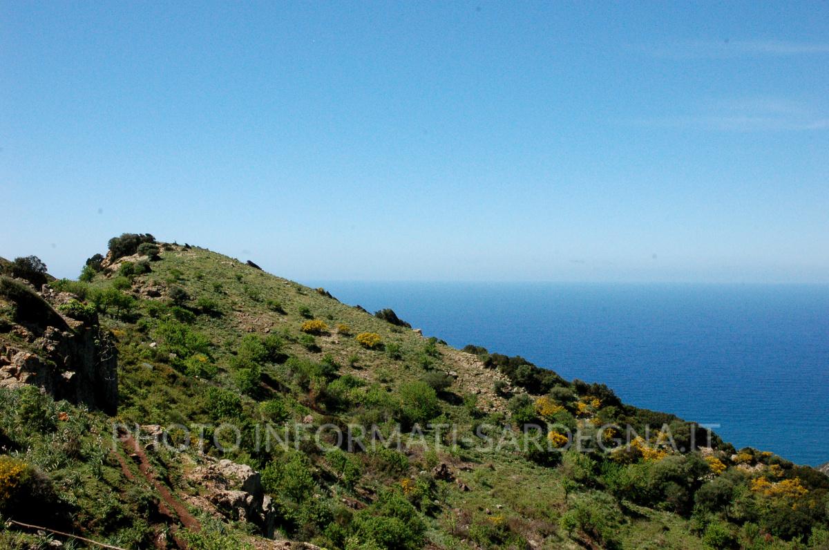Il paesaggio nei pressi di Torre Argentina