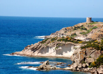 Torre Argentina, Bosa