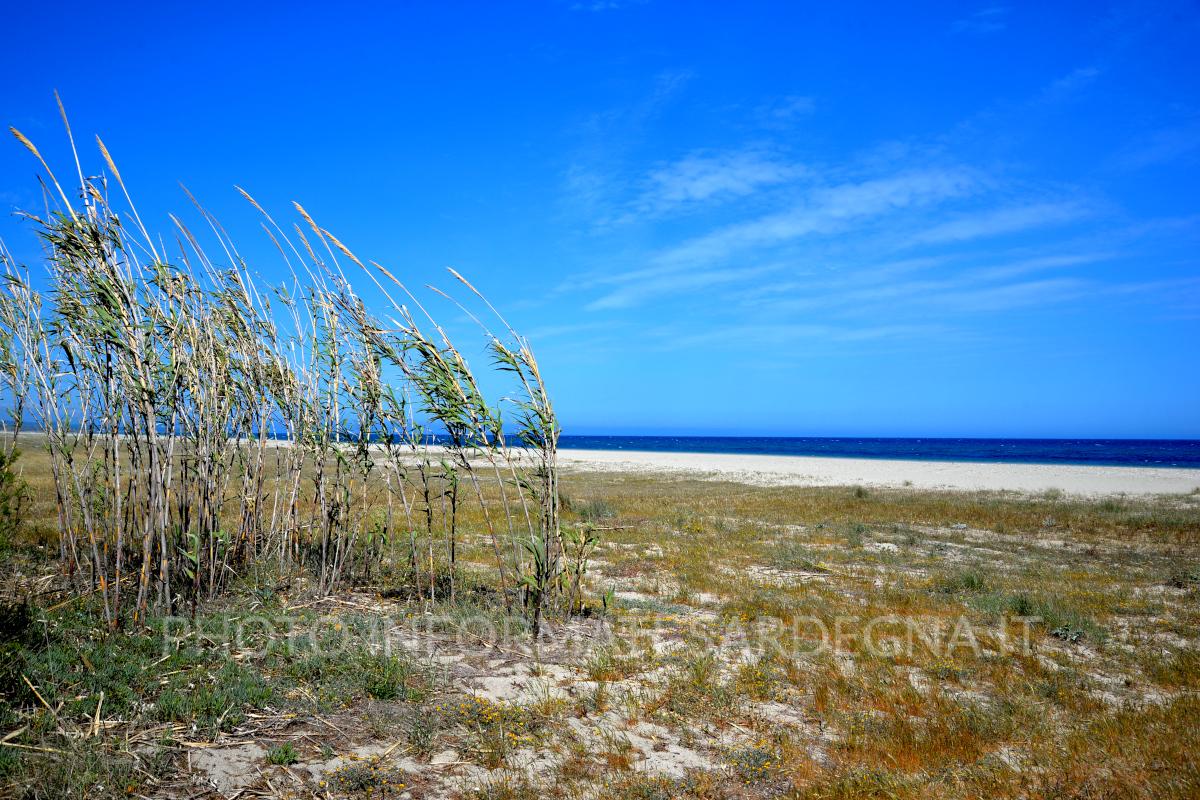 Spiaggia di Museddu a Cardedu, Marina di Gairo