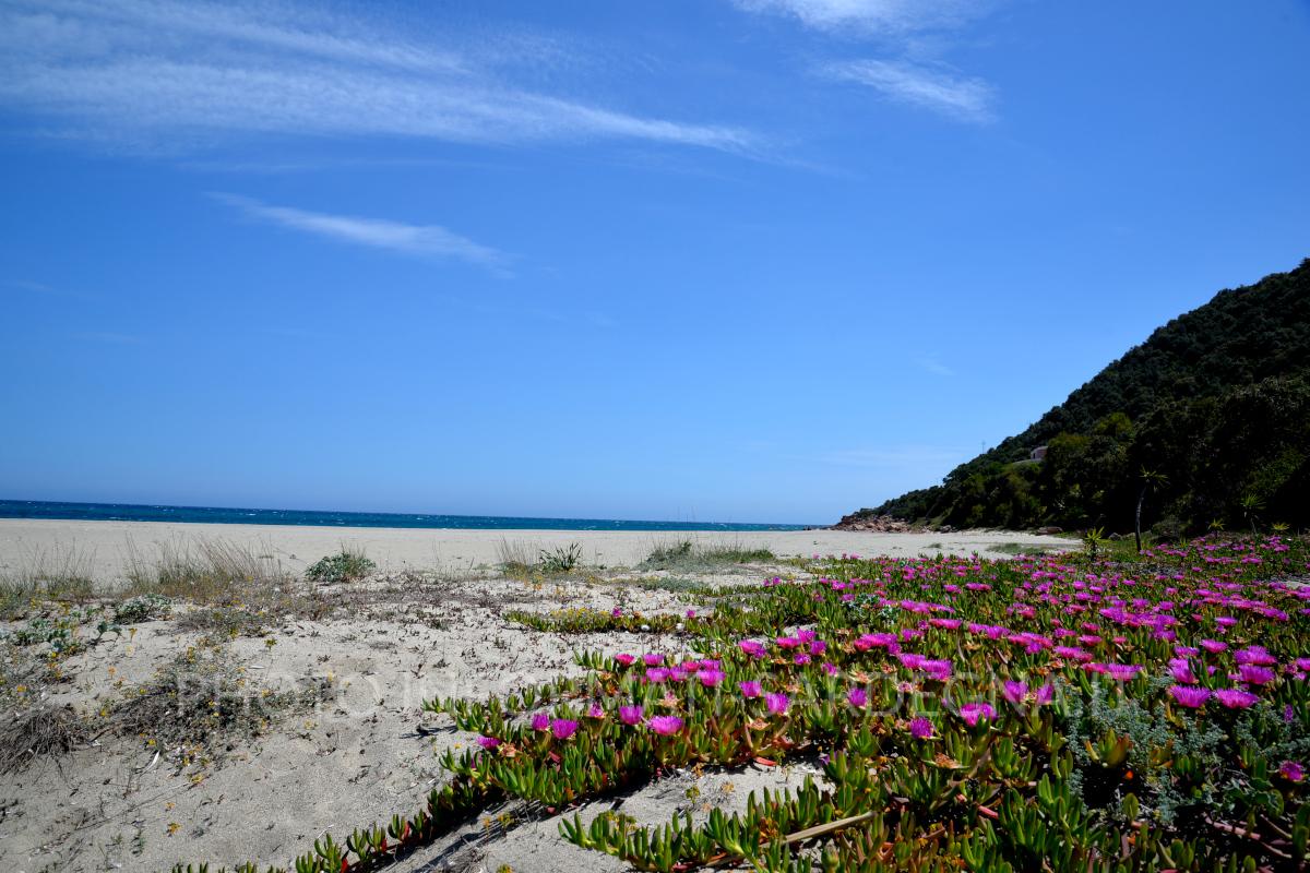 Colori e spiaggia, Marina di Gairo