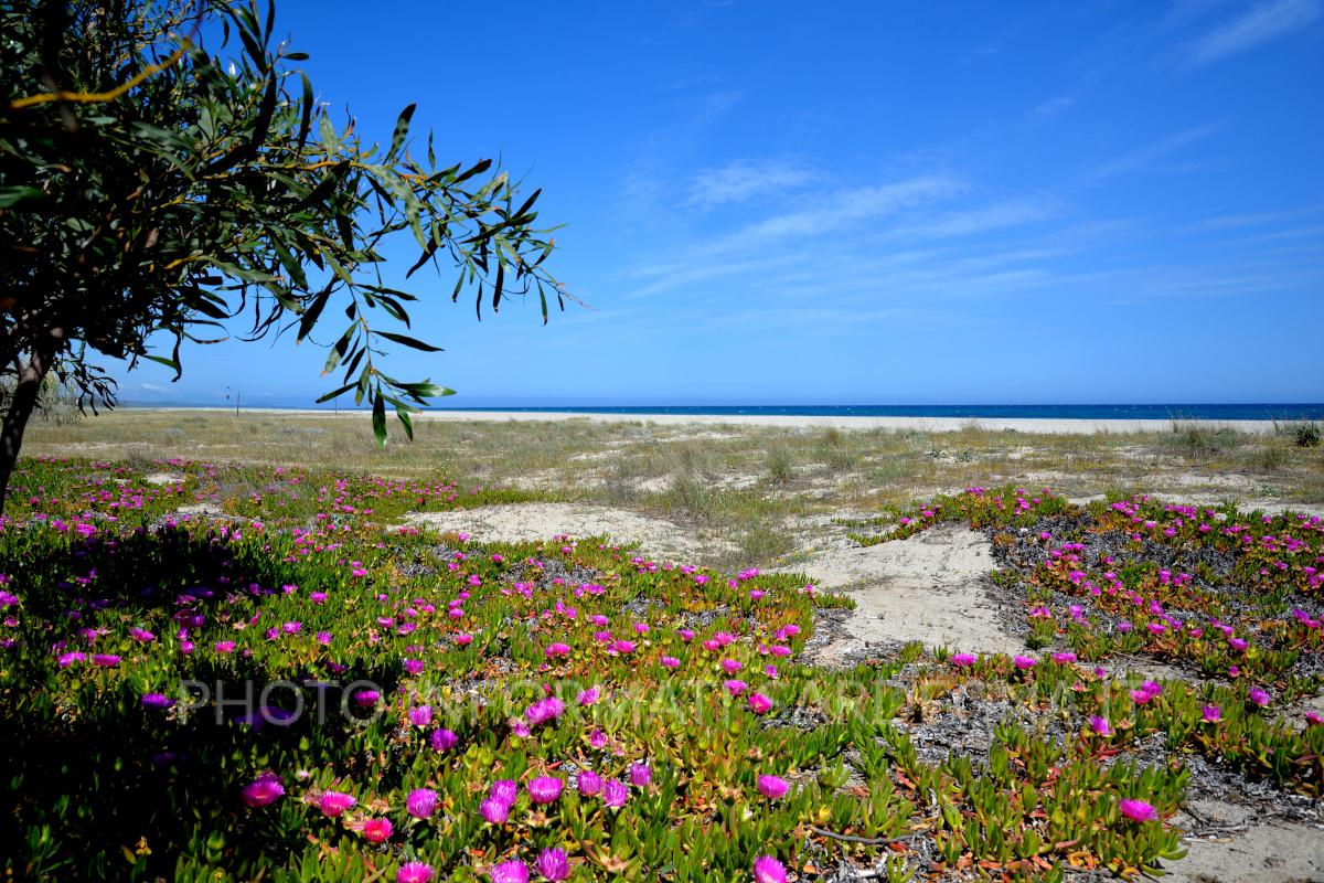 Colori e spiaggia, Marina di Gairo