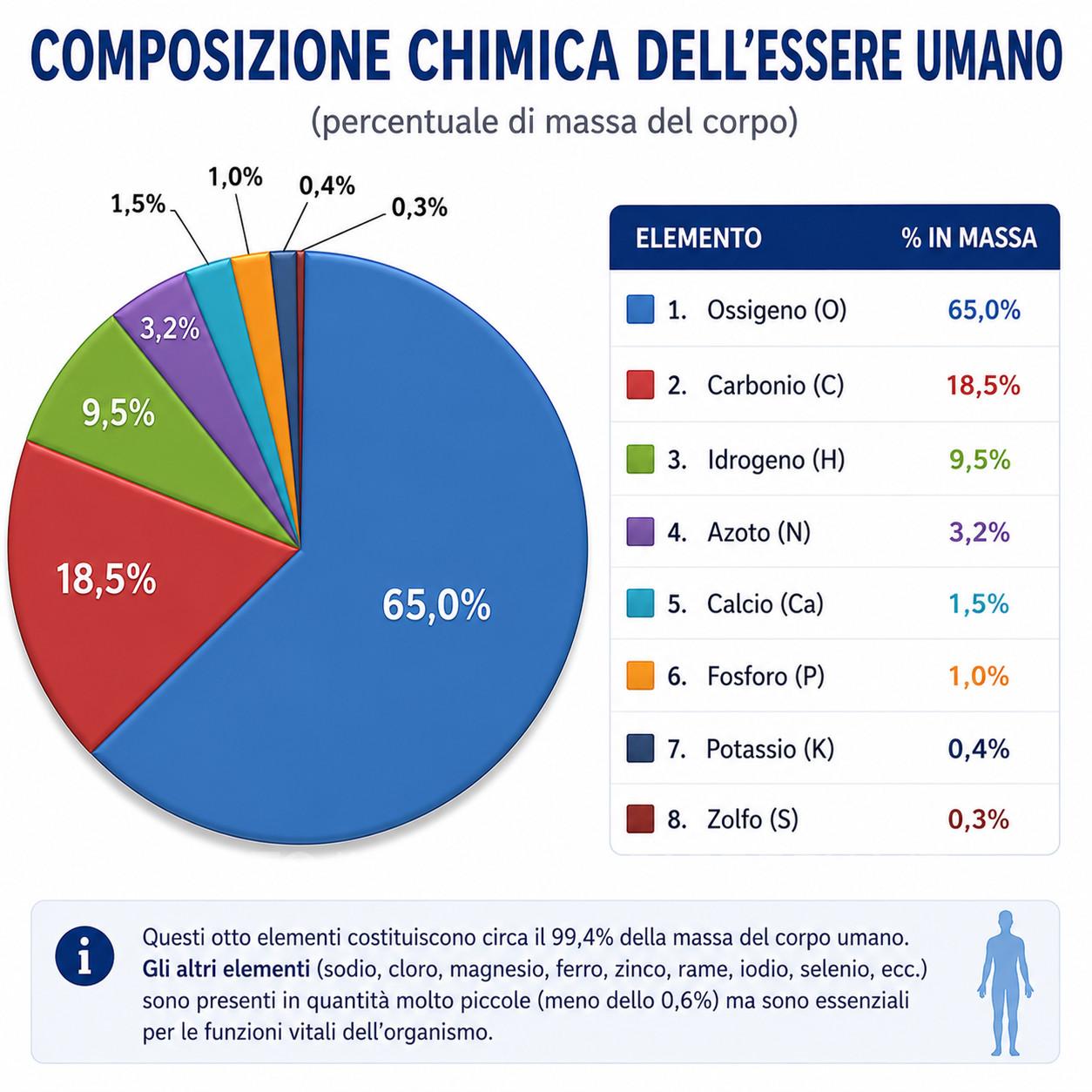 Composizione chimica dell'essere umano