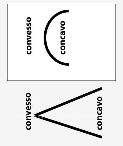 Concavo e convesso