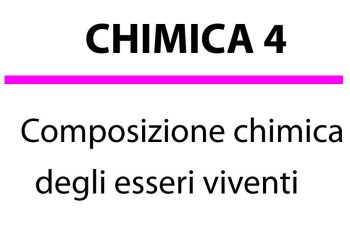 Composizione chimica degli esseri viventi