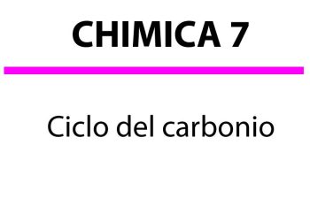 Il Ciclo del Carbonio