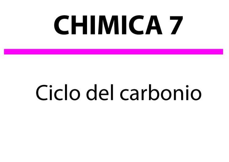 Il Ciclo del Carbonio