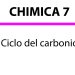 Il Ciclo del Carbonio