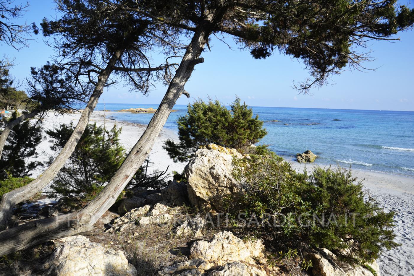 Cala Ginepro, Orosei