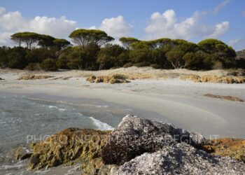 Cala Liberotto: tra stagni, rocce rosa e spiagge incantevoli nella costa di Orosei