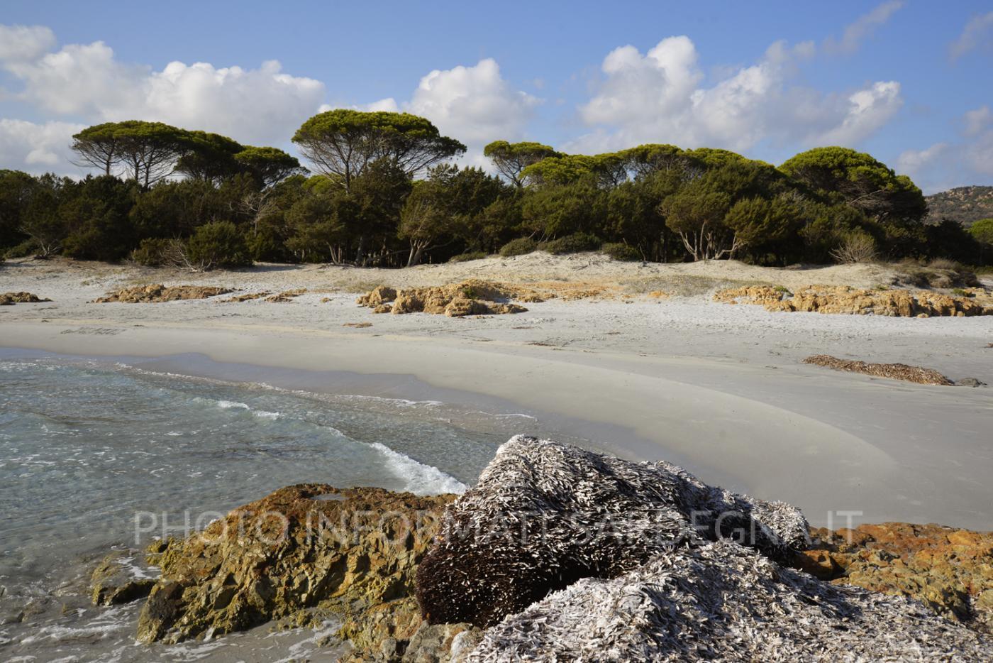 Cala Ginepro, Orosei