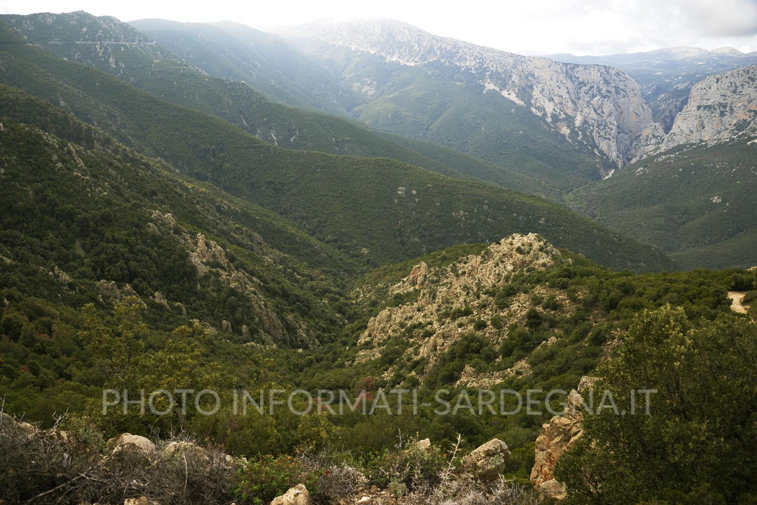 Il Supramonte Montano, Urzulei 