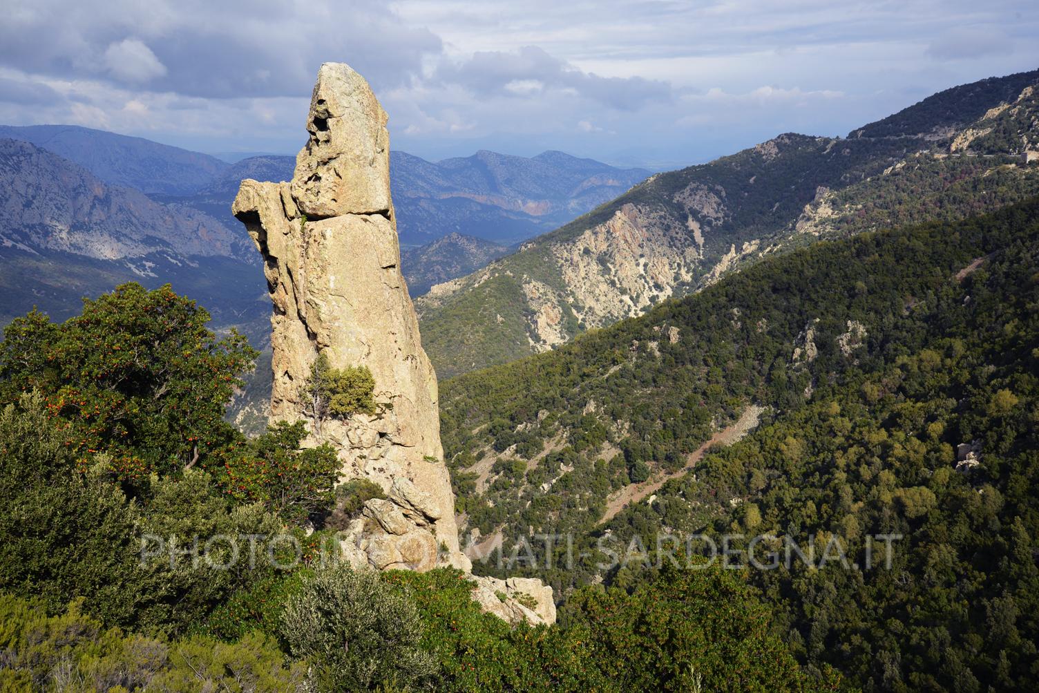 Il Supramonte Montano, Urzulei 