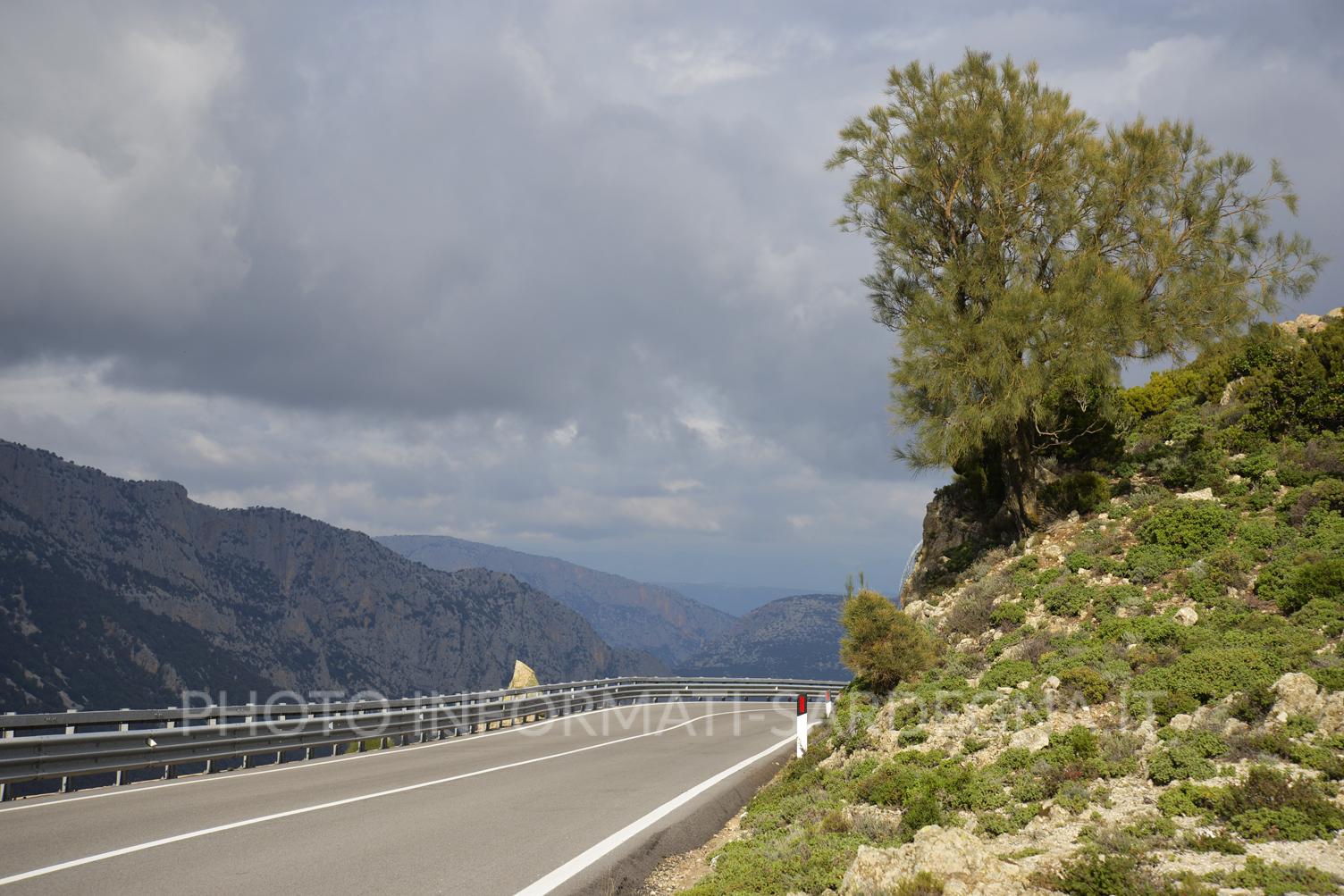 Orientale Sarda. tratto di Urzulei verso Dorgali 