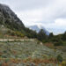 Passo Silana, Urzulei
