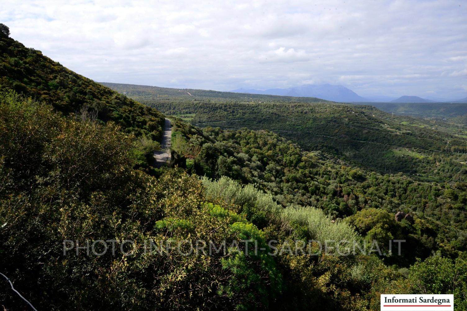 Pendici del Tuttavista, Galtellì