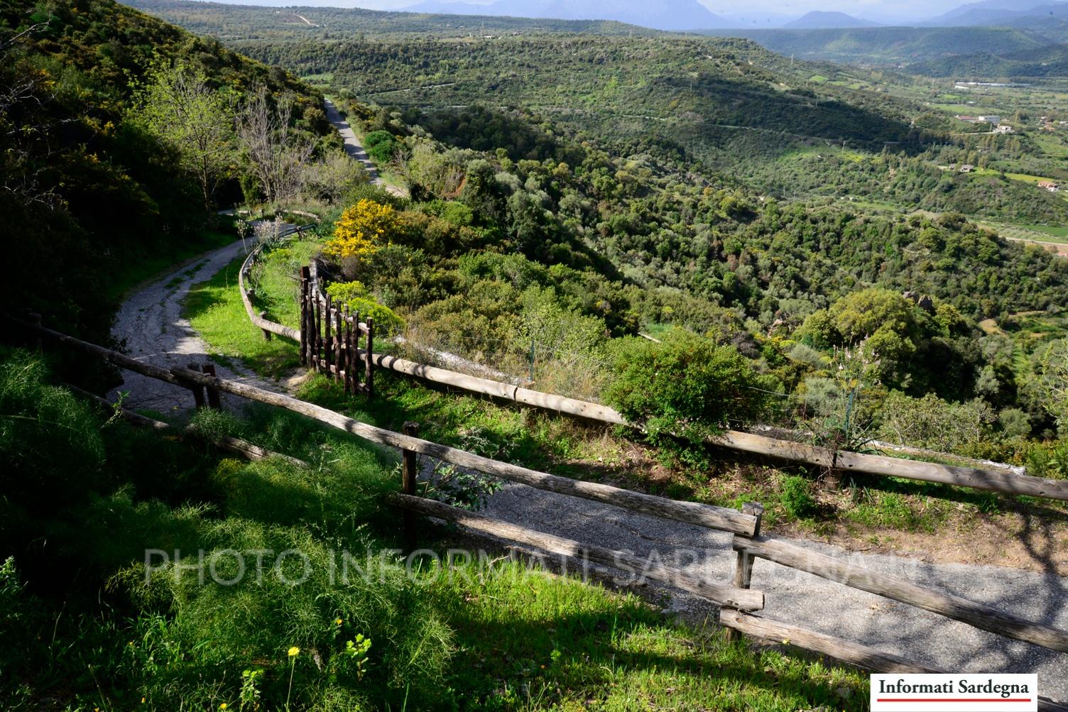 Pendici del Tuttavista, Galtellì Pendici del Tuttavista, Galtellì