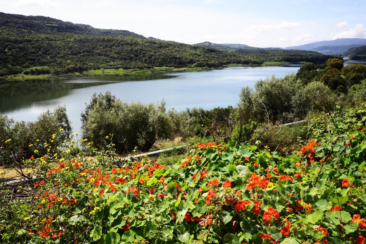 Lago Omodeo