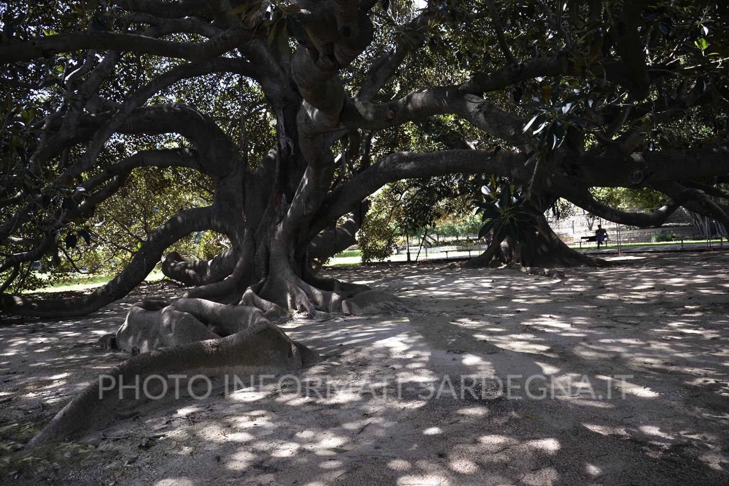 Cagliari, Parco pubblico 
