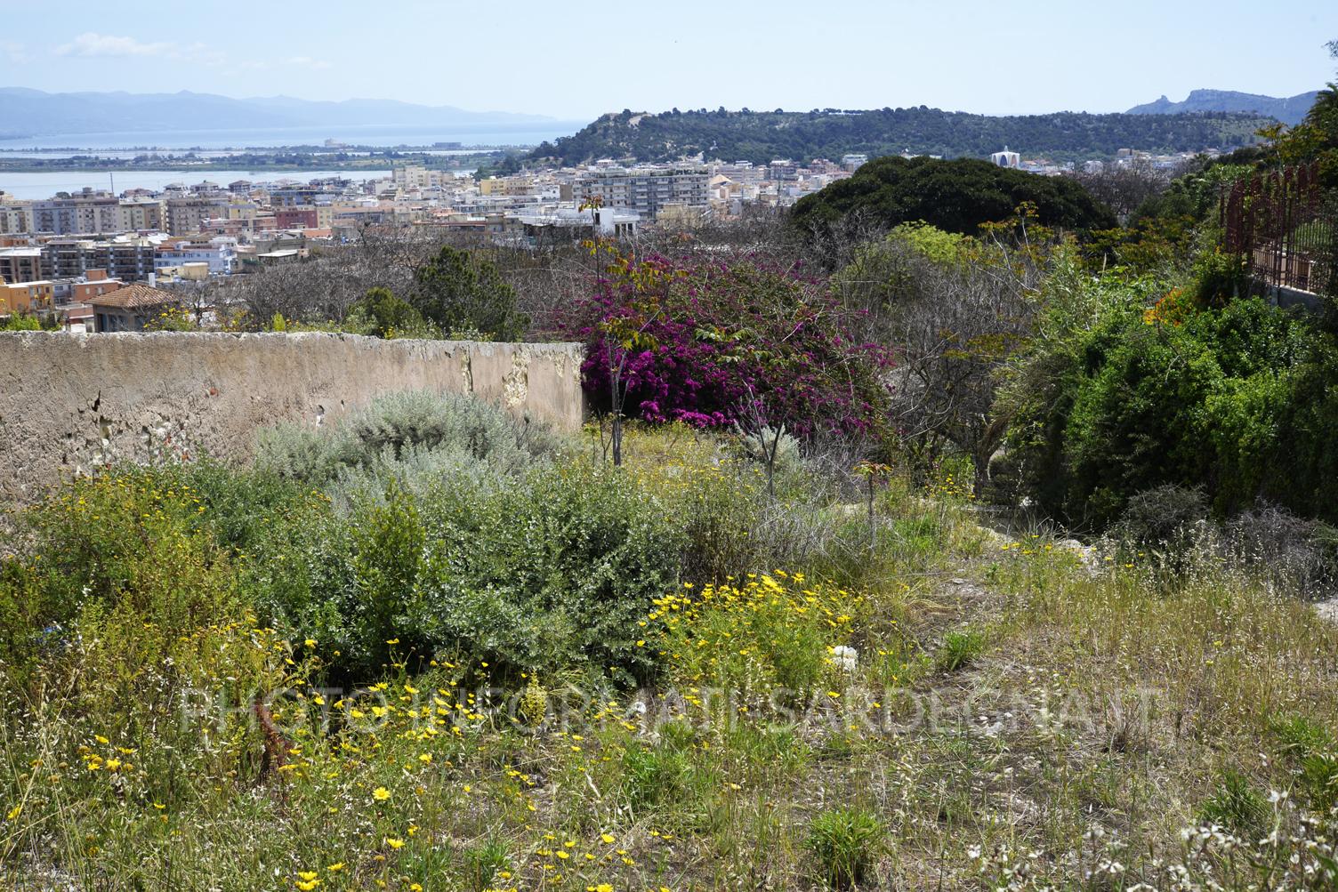 Vista di Cagliari dai Giardini Pubblici