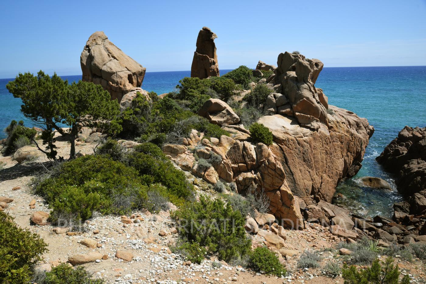 Particolari rocciosi e macchia mediterranea nei pressi della spiaggia di  Cala 'e Luas, Gairo. 