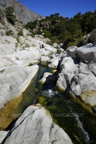 Calcare, acqua e vegetazione mediterranea. Dorgali 