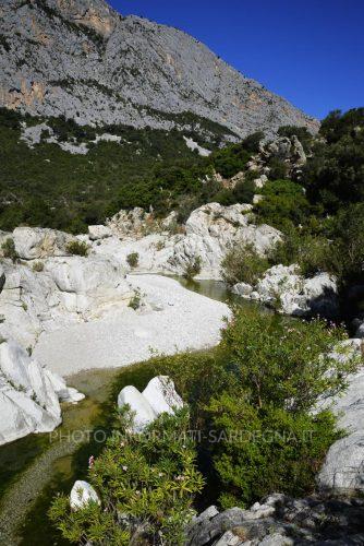 Calcare, acqua e vegetazione mediterranea. Dorgali 