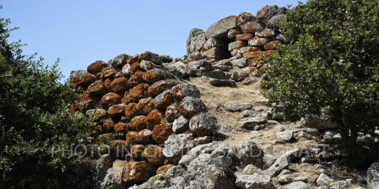 Nuraghe Tamuli e l'area archeologica. Macomer
