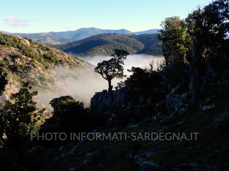Gennargentu. Foto: Rosa Maria Dore