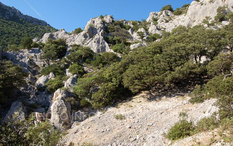 Monte Tuttavista, Galtellì