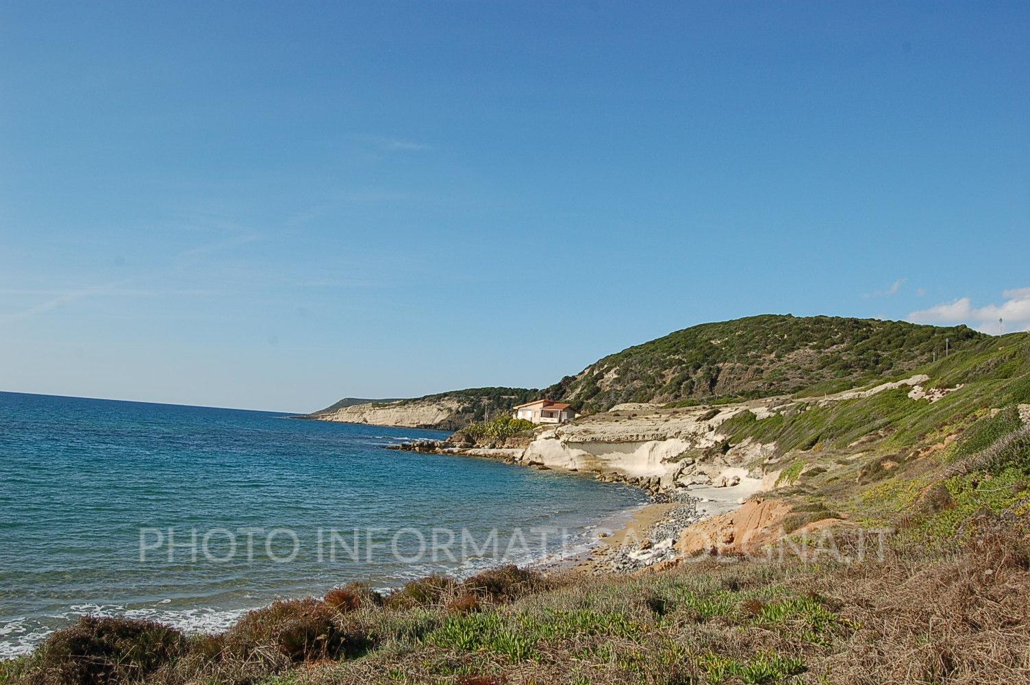 Costa Verde, Arbus