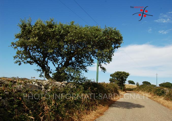 Goceano, Sardegna