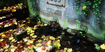 Parco Aymerich, Laconi