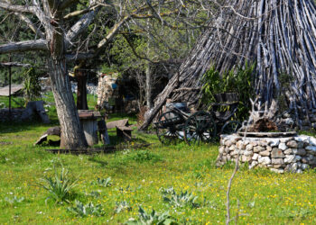 Editto delle Chiudende