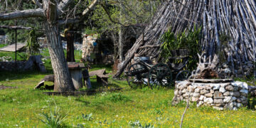 Editto delle Chiudende