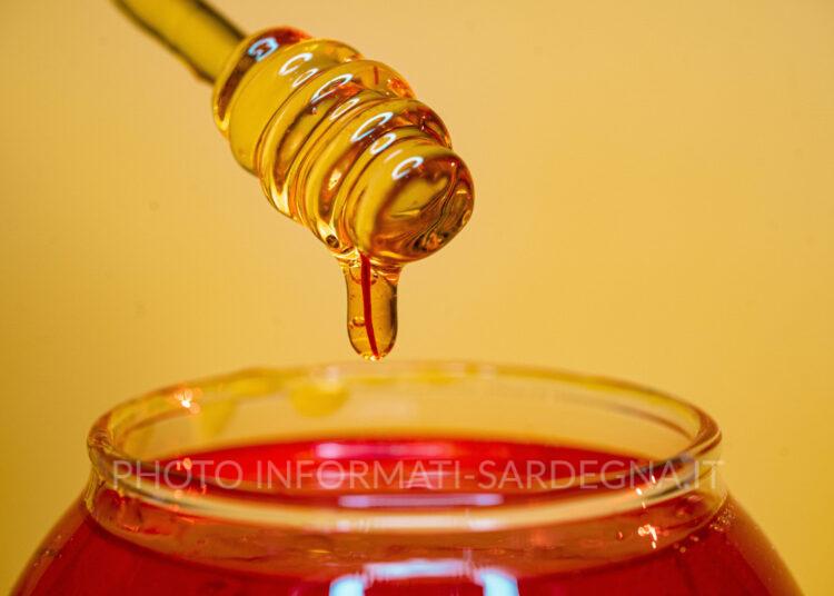 Cos’è il miele: storia, tipologie e benefici