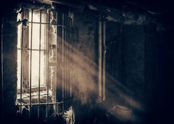 Foto di Denny Müller su Unsplash