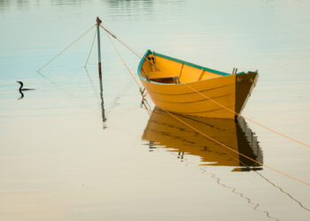 I fanali delle navi. Foto di Jamie Morrison su Unsplash