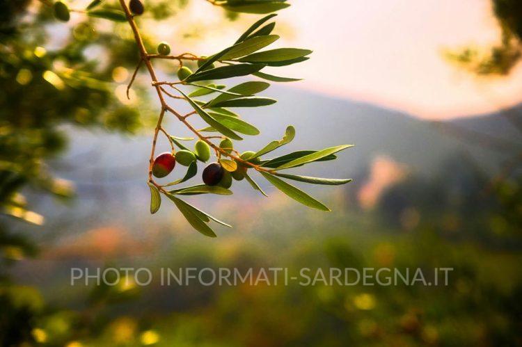 Foto di Lucio Patone su Unsplash