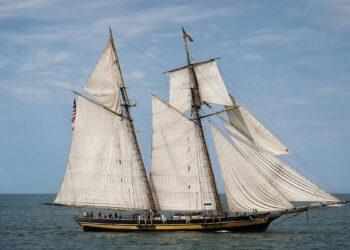 Flotilla 2025. Foto di Ron Dauphin su Unsplash