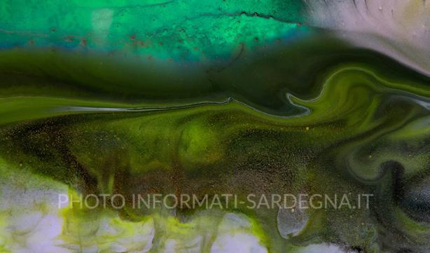 Colorazione verde-azzurra dell'acqua a causa dei cianobatteri. Foto di Solen Feyissa su Unsplash