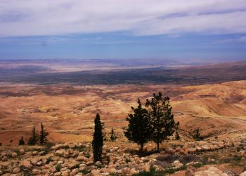 Palestina. Foto di Thomas Vogel su Unsplash