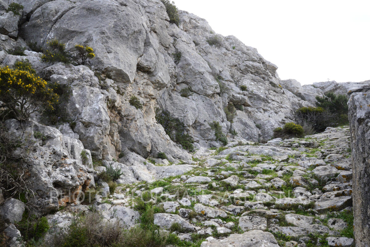 Il ciottolato della scala. Dorgali