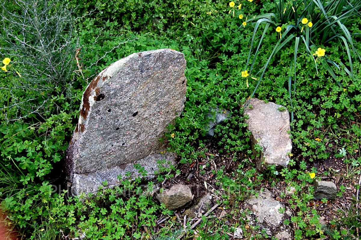 I menhir di Costa Rei