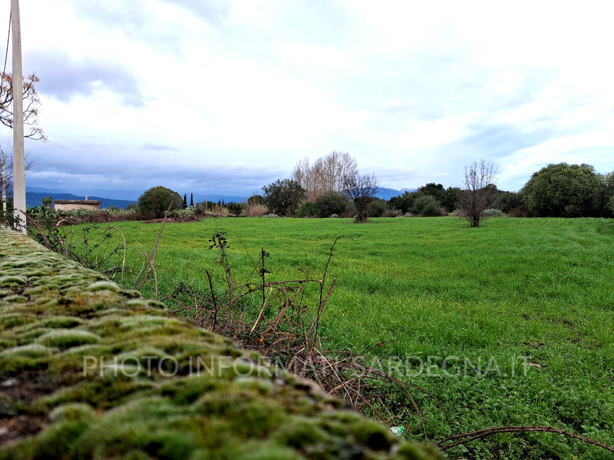 Terreno agricolo a gennaio in Sardegna