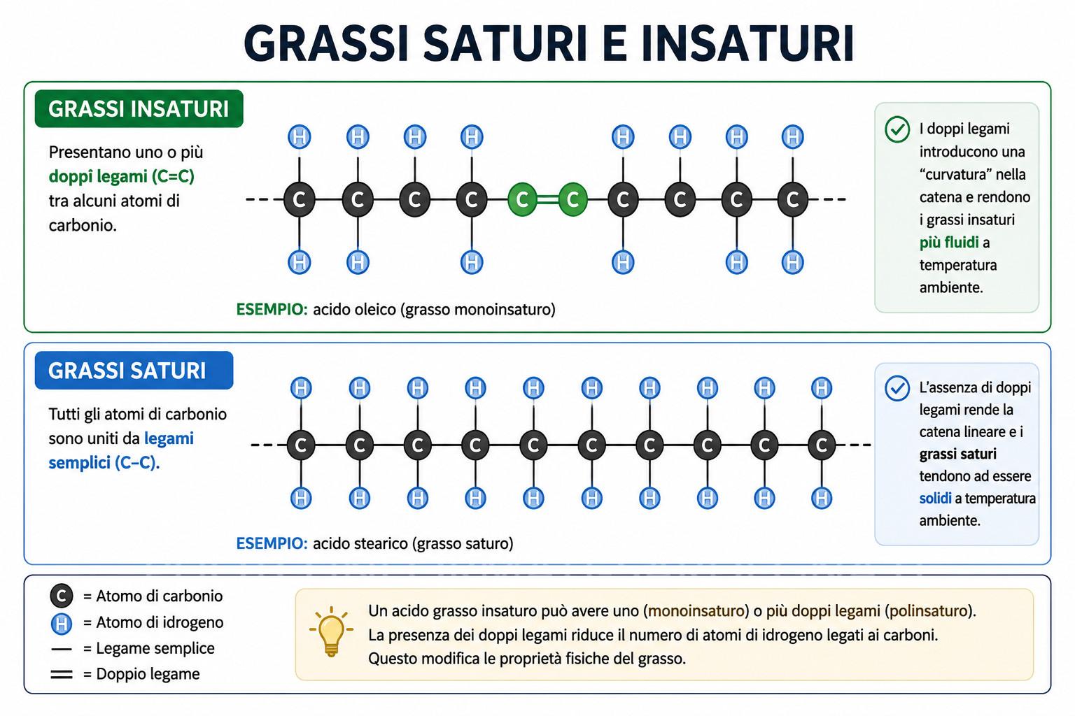 Grassi saturi e insaturi